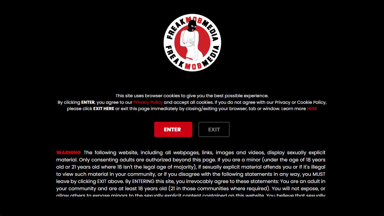 FreakMobMedia 最新网站截图