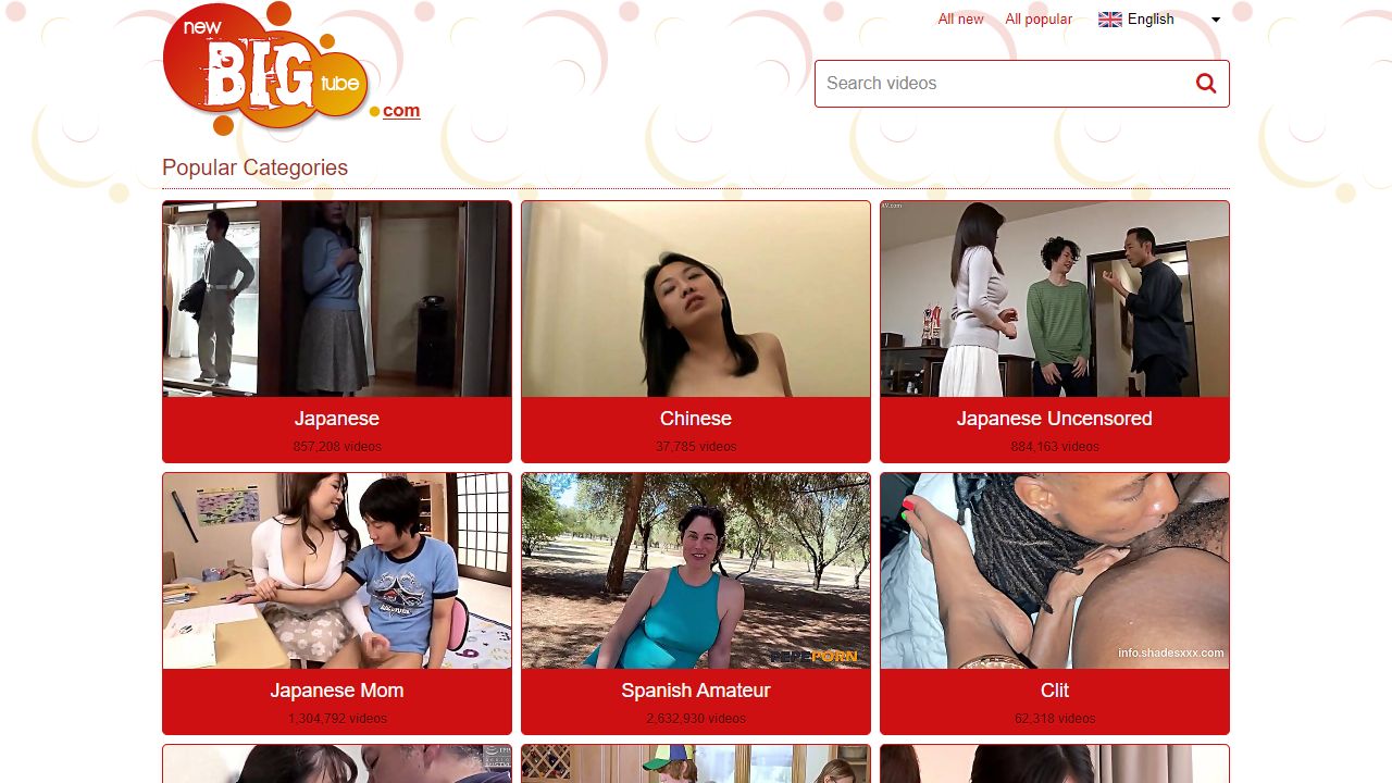 NewBigTube 最新网站截图