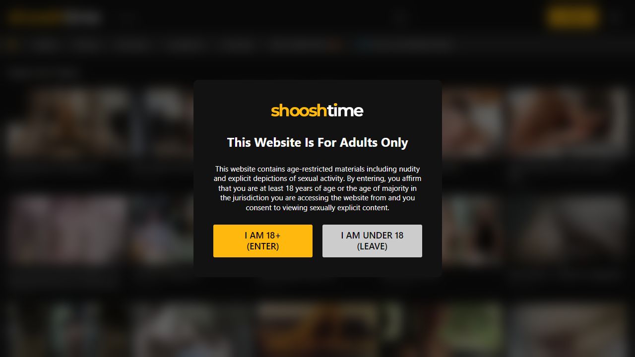 ShooshTime 最新网站截图