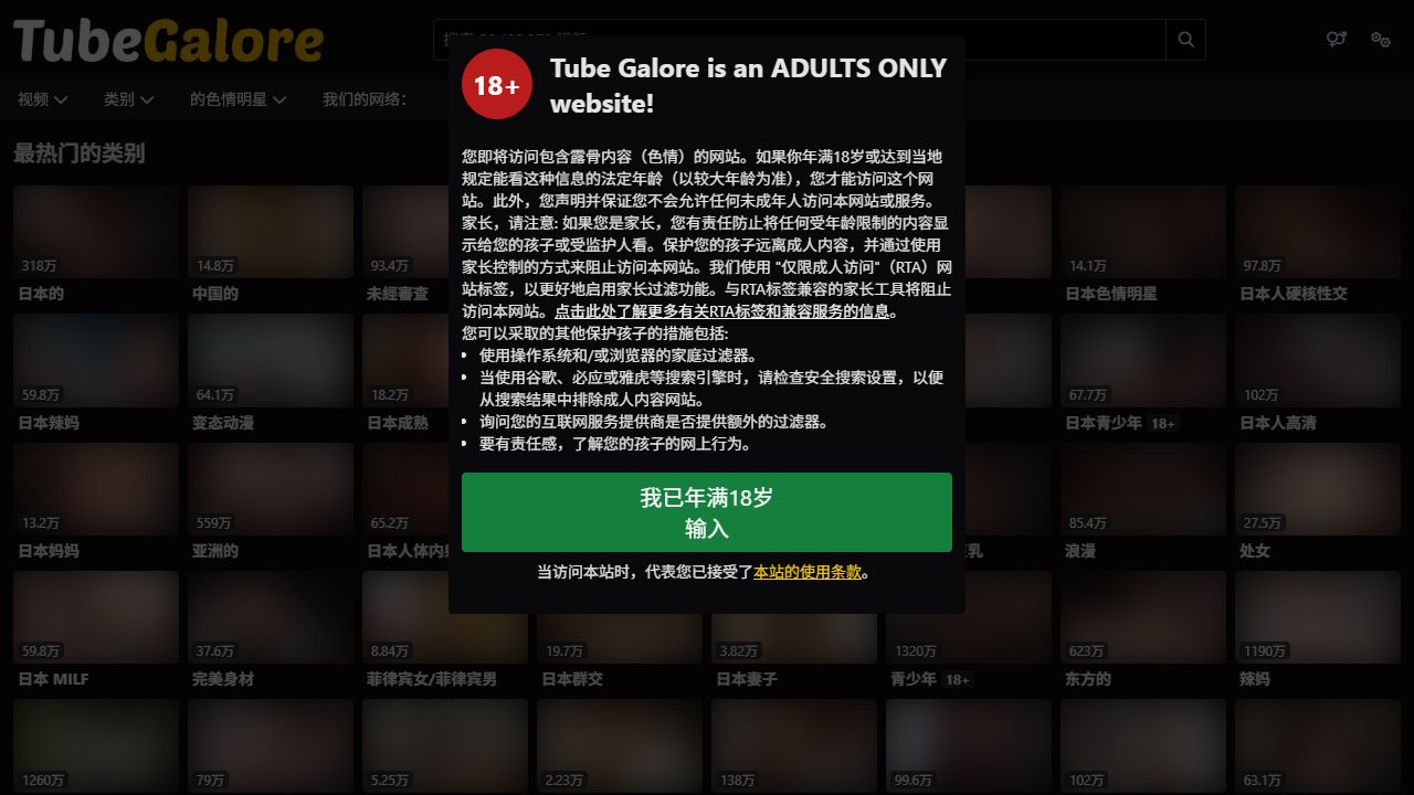 TubeGalore 最新网站截图