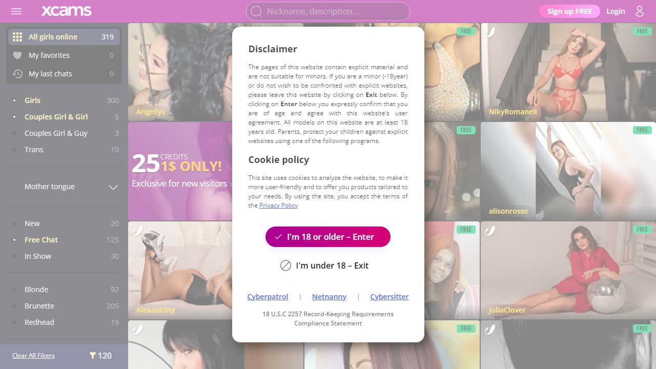 Xcams 最新网站截图
